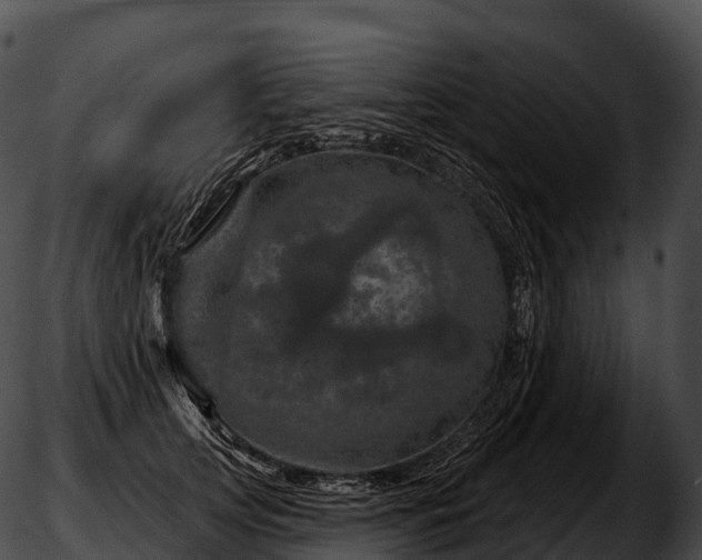 X0000051890753200507020055