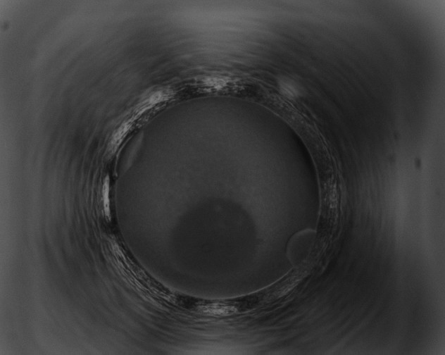 X0000051890754200507020055