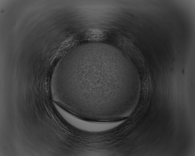 X0000051890755200507020055