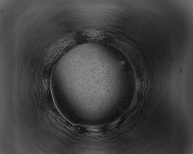 X0000051890756200507020055