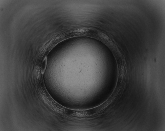 X0000051890758200507020055