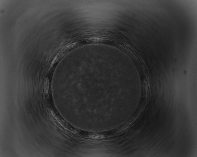 X0000051890760200507020055