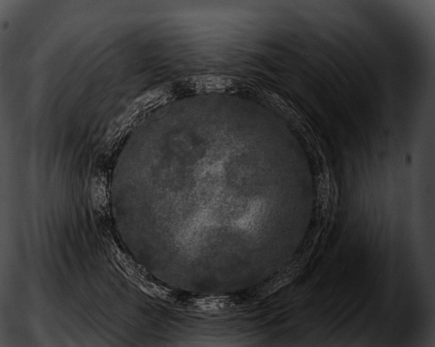 X0000051890761200507020055