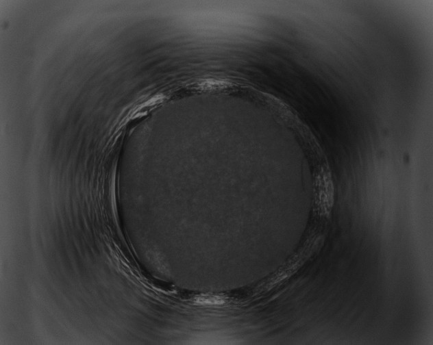 X0000051890762200507020055