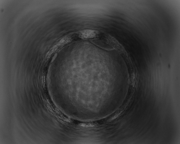 X0000051890763200507020056