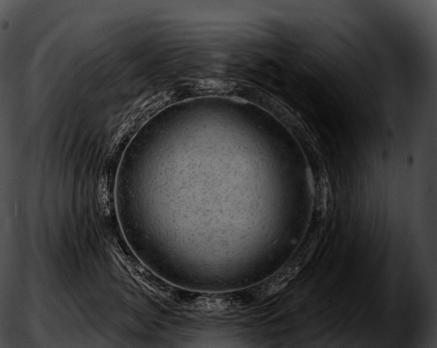 X0000051890764200507020056