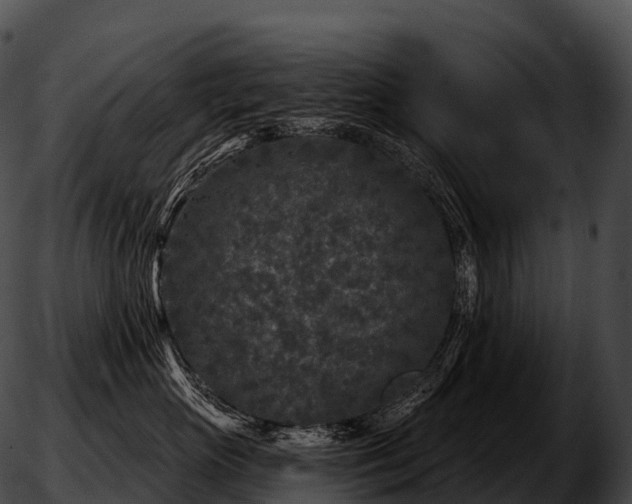 X0000051890765200507020056