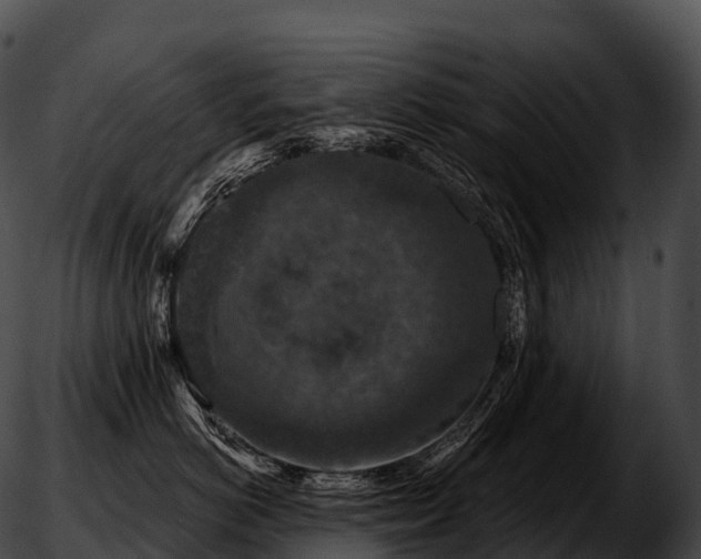 X0000051890766200507020056