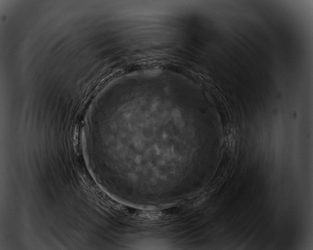 X0000051890767200507020056