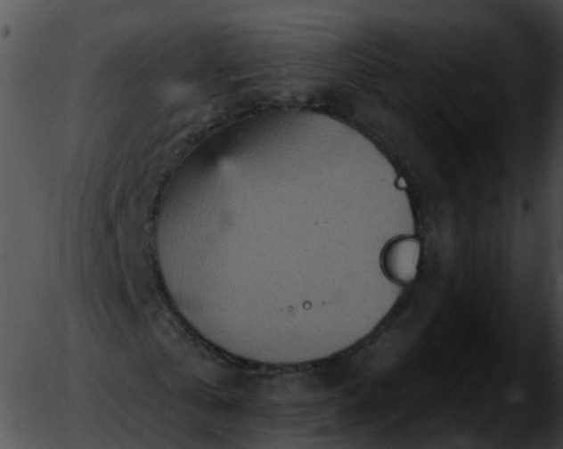 X0000051890769200507020055