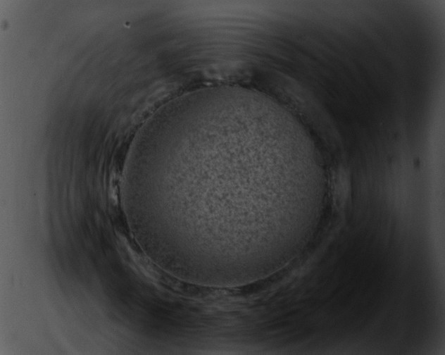 X0000051890770200507020055