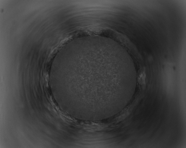 X0000051890772200507020055