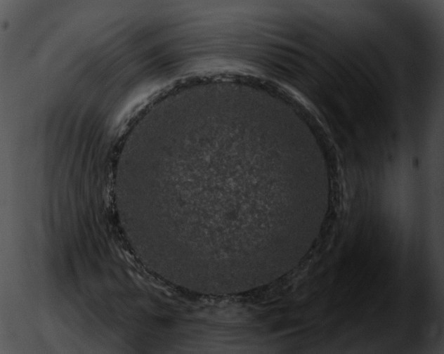 X0000051890775200507020055