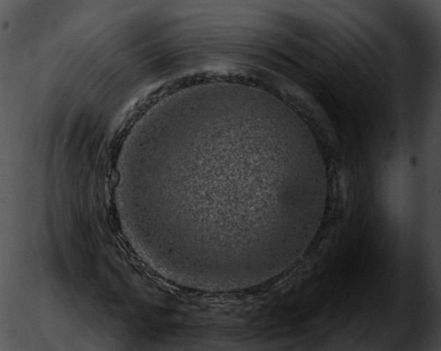 X0000051890776200507020055