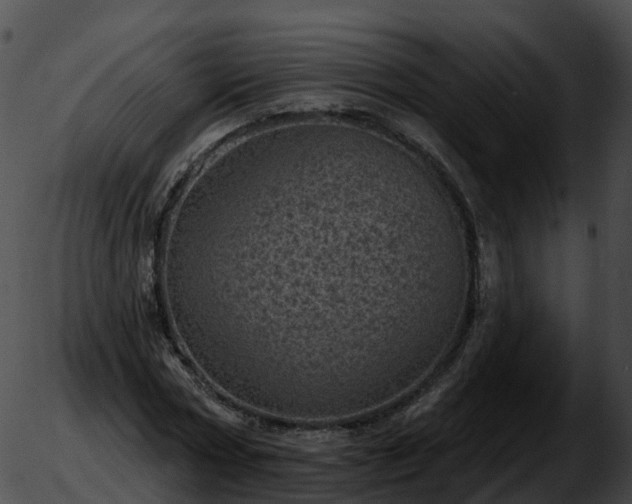 X0000051890778200507020055