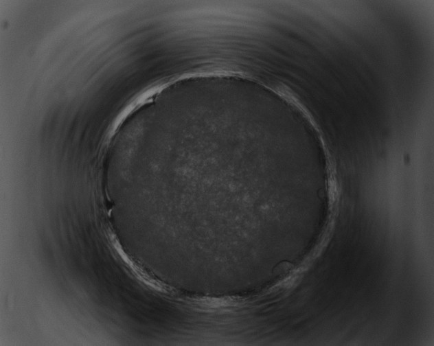 X0000051890781200507020055