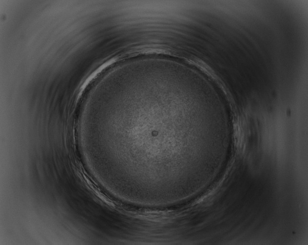 X0000051890782200507020055