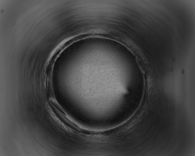 X0000051890784200507020055