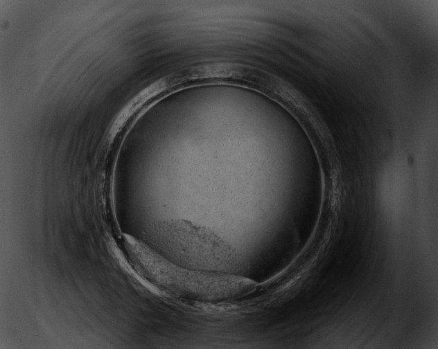 X0000051890786200507020055