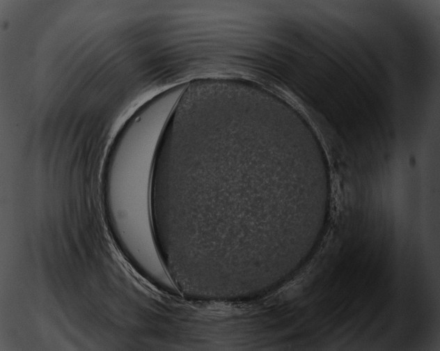 X0000051890787200507020055