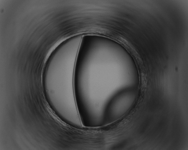 X0000051890788200507020055