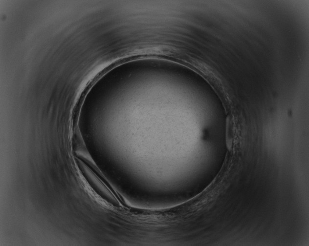 X0000051890792200507020054