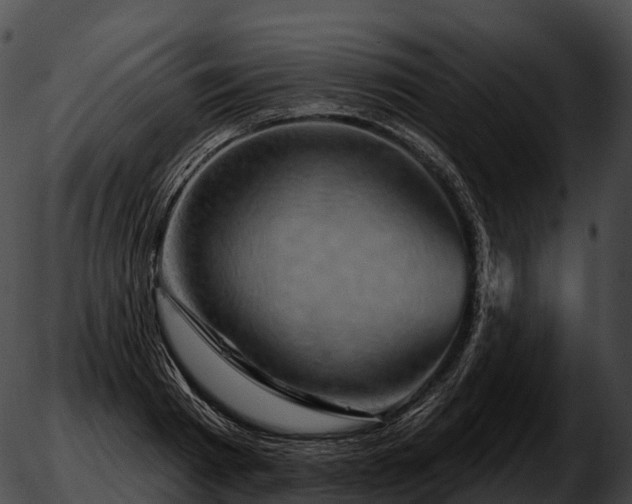 X0000051890793200507020054