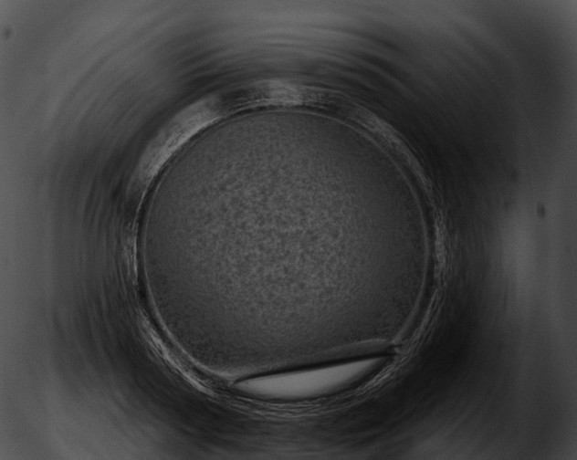 X0000051890794200507020054