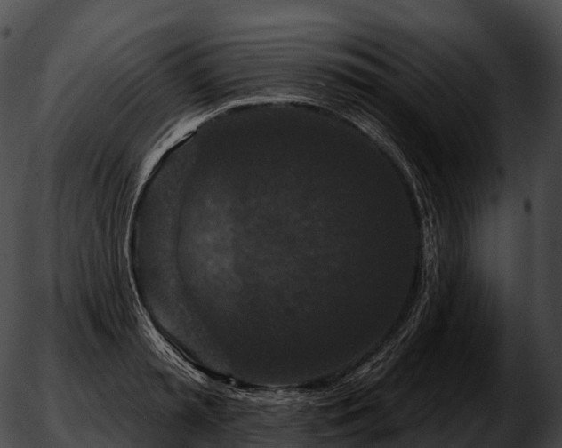 X0000051890797200507020054