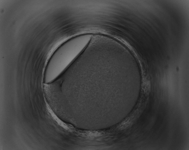 X0000051890799200507020054