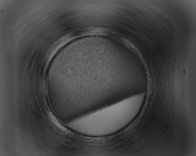 X0000051890800200507020054