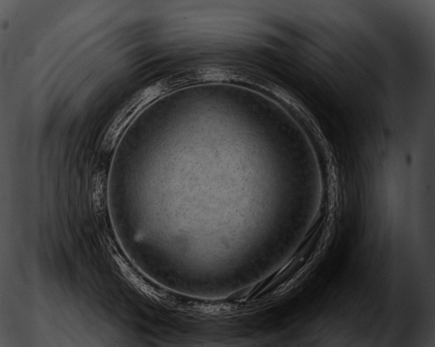 X0000051890801200507020054