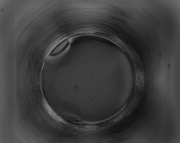 X0000051890802200507020054