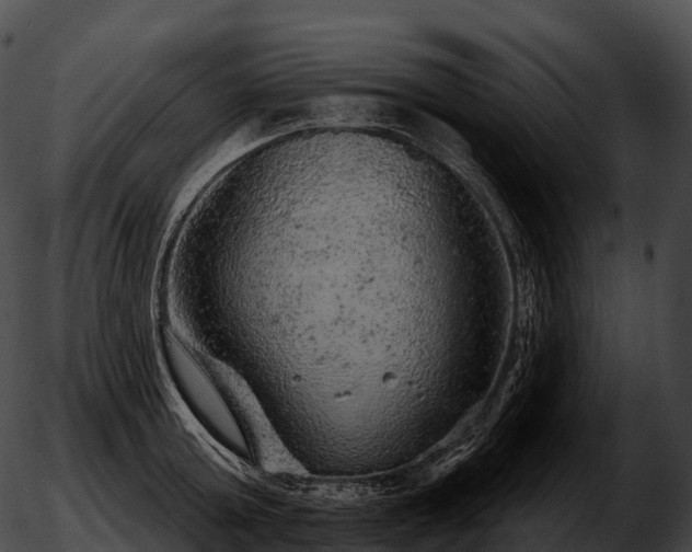 X0000051890803200507020054