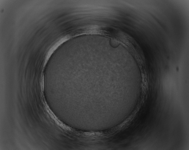 X0000051890804200507020054