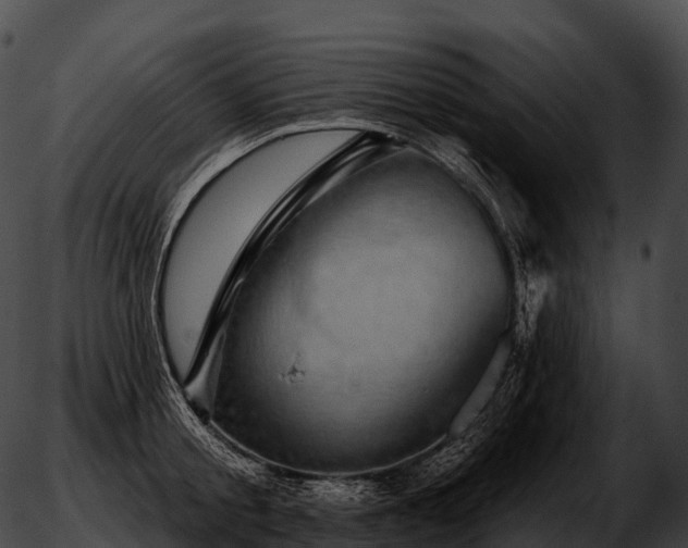 X0000051890805200507020054