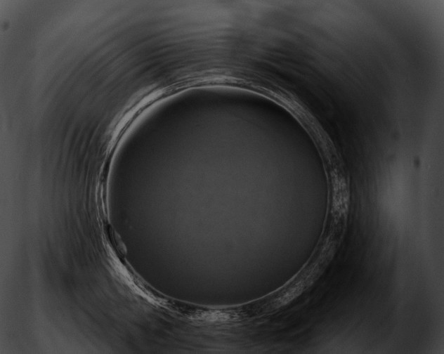 X0000051890806200507020054