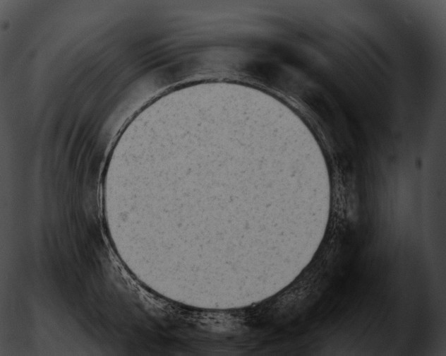 X0000051890807200507020054