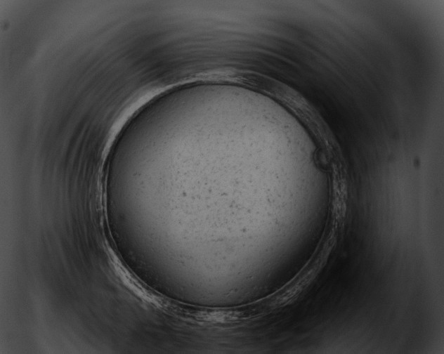 X0000051890808200507020054