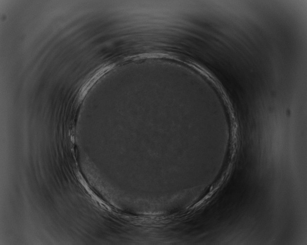 X0000051890809200507020054