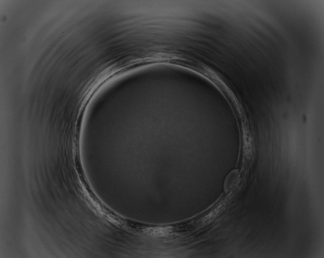 X0000051890810200507020054