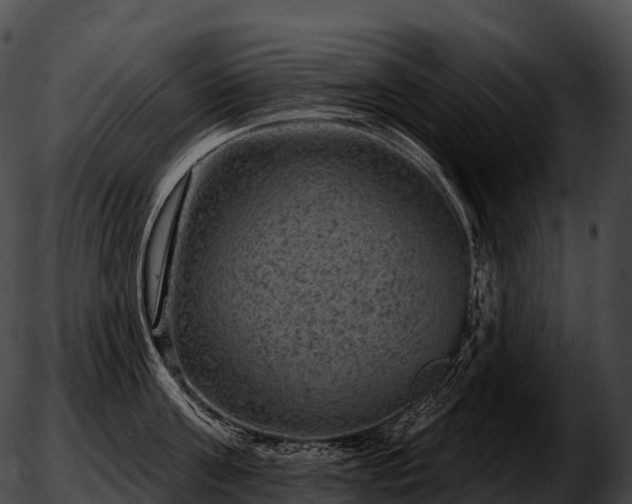 X0000051890811200507020054