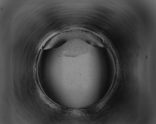 X0000051890814200507020054