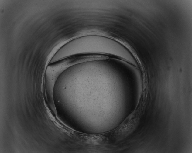 X0000051890815200507020054