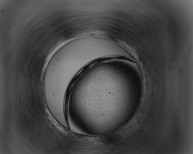 X0000051890816200507020054