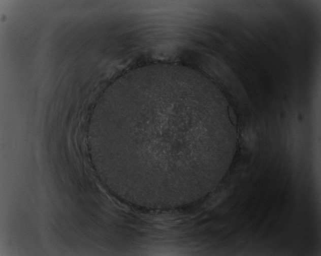 X0000051890817200507020053