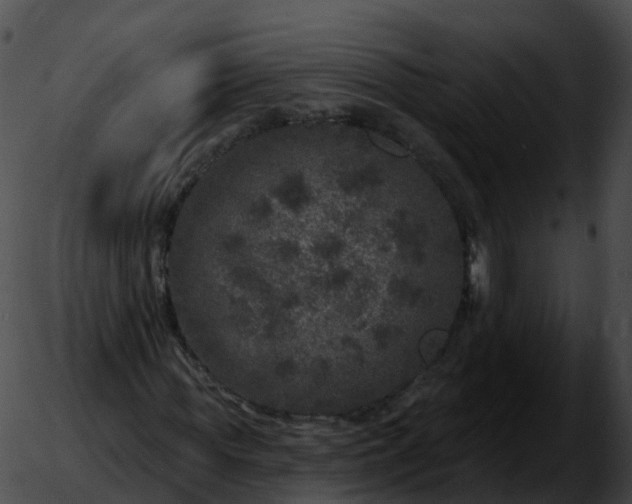 X0000051890819200507020053