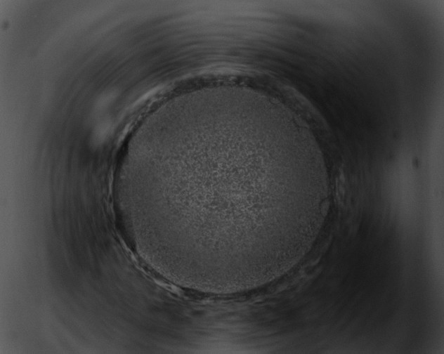 X0000051890821200507020053