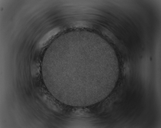 X0000051890824200507020053