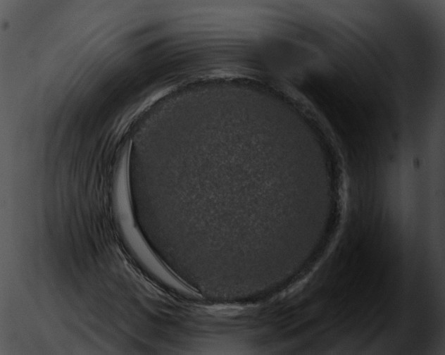 X0000051890825200507020053